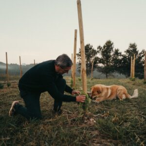 Experiencia Wine Trail