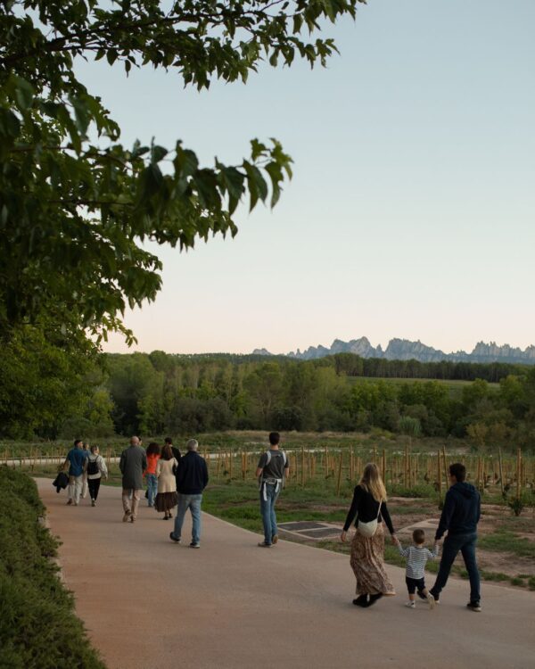 .Harvest Dinners – Saturday