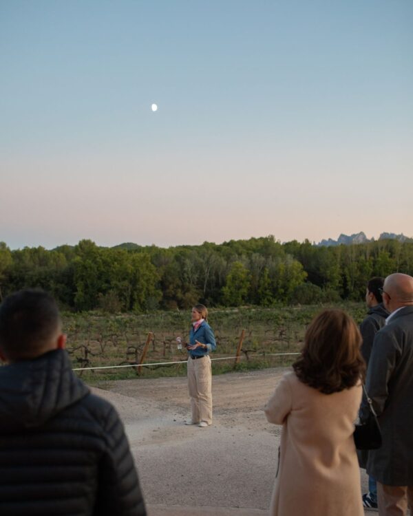 .Harvest Dinners – Fridays - Image 2